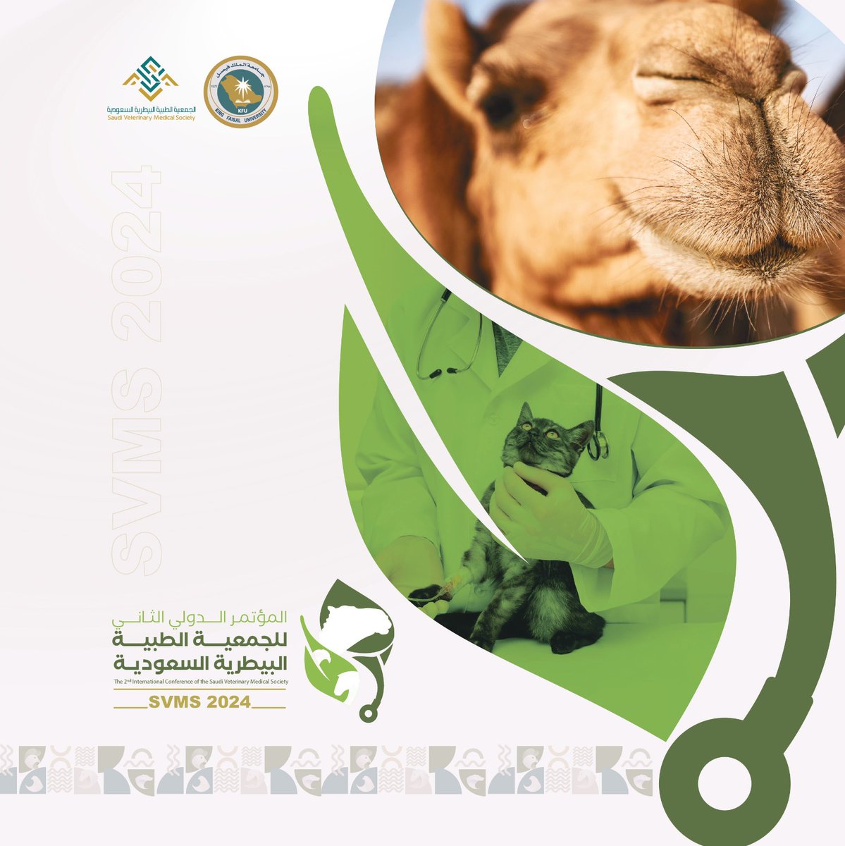 تنظم جامعة الملك فيصل ممثلة بالجمعية الطبية البيطرية السعودية المؤتمر الدولي الثاني للجمعية الطبية البيطرية السعودية والمعرض المصاحب له بعنوان: دور الطب البيطري في الاقتصاد والتنمية المستدامة للإبل وتعزيز مفهوم الصحة الواحدة
●للتفاصيل زيارة رابط المؤتمر
services.kfu.edu.sa/svms