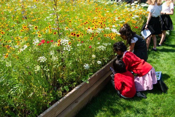🚨Applications for Superbloom Schools 2024-25 close on 31 July 2024! We are looking for 25 partner schools from across all four UK nations to join us for our Superbloom Schools programme. Apply now! 
For more info and to apply visit: ➡️hrp.org.uk/schools/superb…