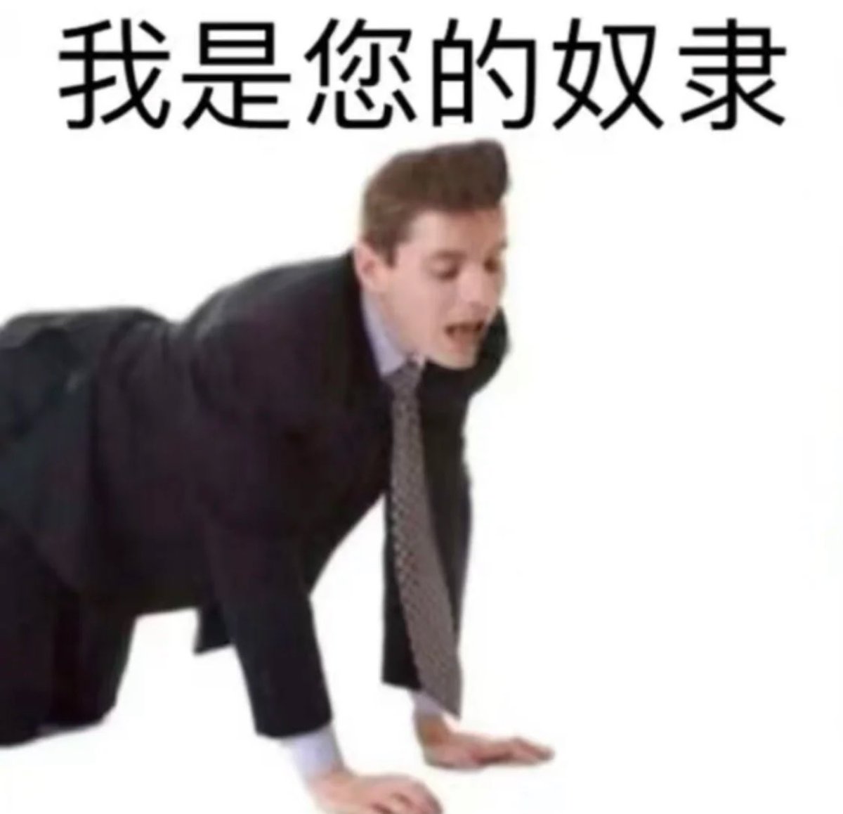 媒体预览