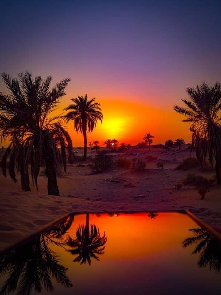 minochere's tweet photo. Bonjour. Je vous souhaite de passer une si belle journée, remplie de jolis moments. Bon lundi..
#photo coucher de soleil.. #elbour #Ngoussa #Ouargla https://t.co/mxzF7SvqWY