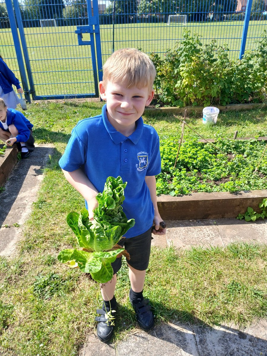 Fiona Cox Winchelsea tweet media