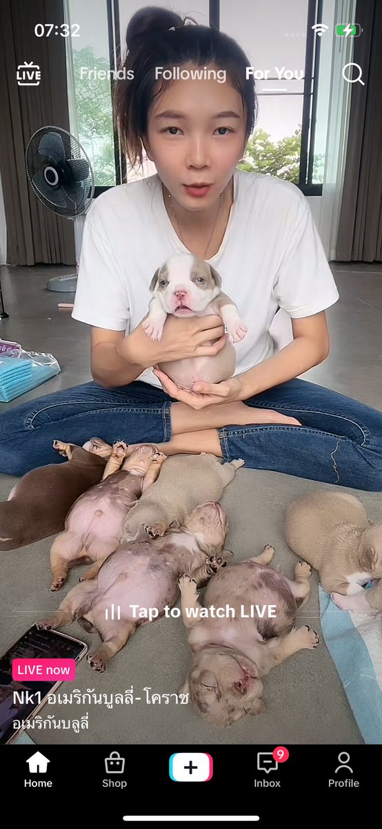 manggontog's tweet image. ฤดูอึ่งไข่