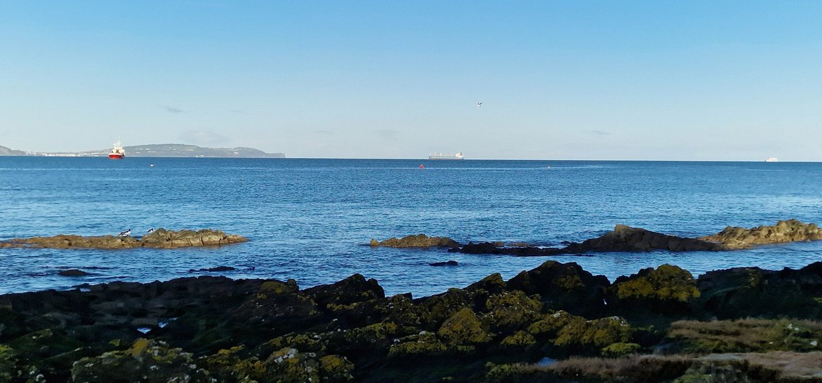 Good Morning Everyone 🙋🏻‍♀️ A lovely sunny start to the new week 🌊☀️
Wishing you all a Marvellous Monday...😃☕️🍫💐