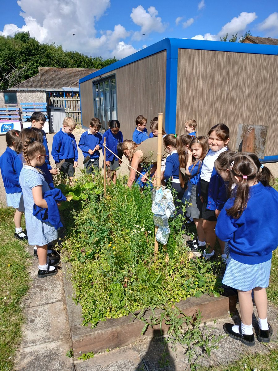 Fiona Cox Winchelsea tweet media