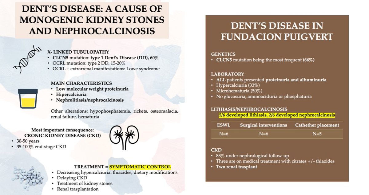 Fundació Puigvert Barcelona (@fpuigvert) on Twitter photo "#KidneyStones are becoming increasingly common. #Dent´s disease is one of the monogenic causes predisposing to stone formation. Early diagnosis & strict follow-up of these patients is important to avoid unnecessary treatment and prevent #CKD progression", <a href="/ldieguezag/">Lucía Diéguez Aguirre</a> in "#KidneyStones are becoming increasingly common. #Dent´s disease is one of the monogenic causes predisposing to stone formation. Early diagnosis & strict follow-up of these patients is important to avoid unnecessary treatment and prevent #CKD progression", <a href="/ldieguezag/">Lucía Diéguez Aguirre</a> in