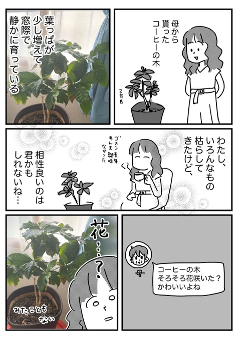 言われなきゃ幸せだった

おまけはブログに→ https://t.co/3K6WZt2HVg 

過去の自分と比べると成長してるのに、
他と比較すると全然成長していない 