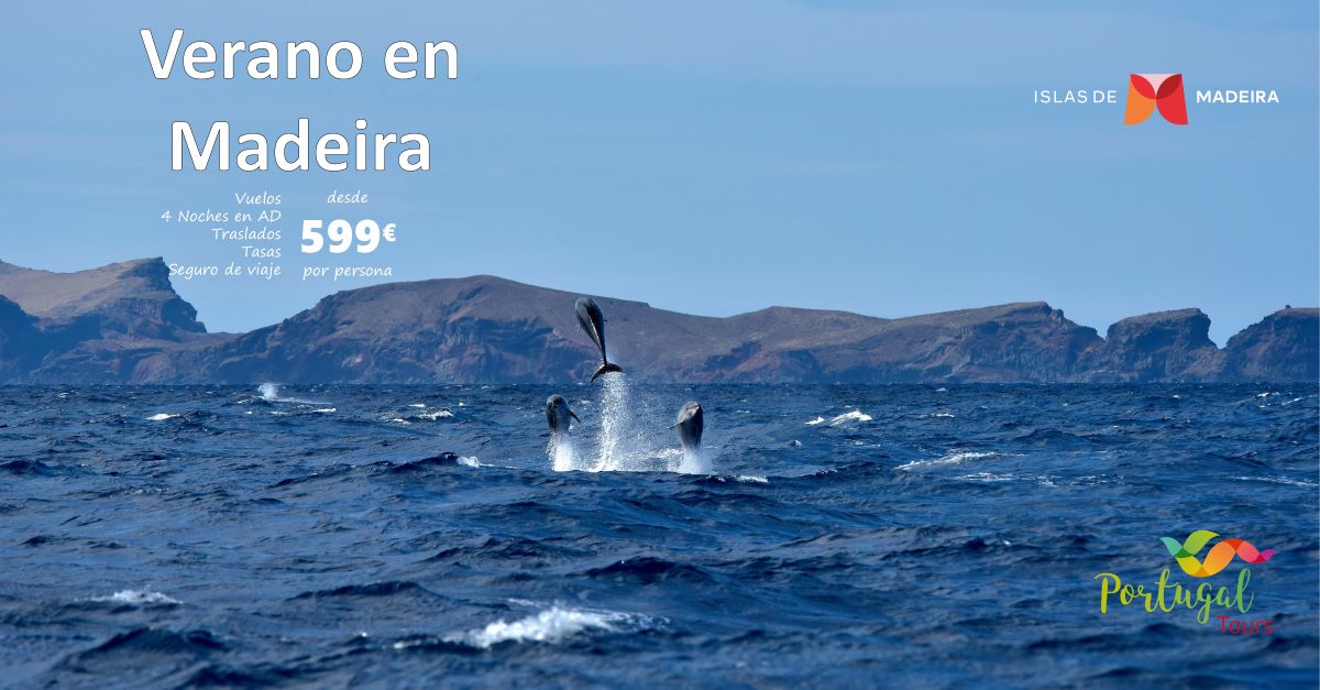 ¡Ven a Madeira y vive una experiencia única! Disfruta del avistamiento de cetáceos en sus costas, un espectáculo natural que te dejará maravillado. #madeiraislands #visitmadeira#madeiranowordsneeded #madeirabelongstoall #experiencemadeiraforyourself
<a href="/portugaltoursES/">Portugal Tours</a>