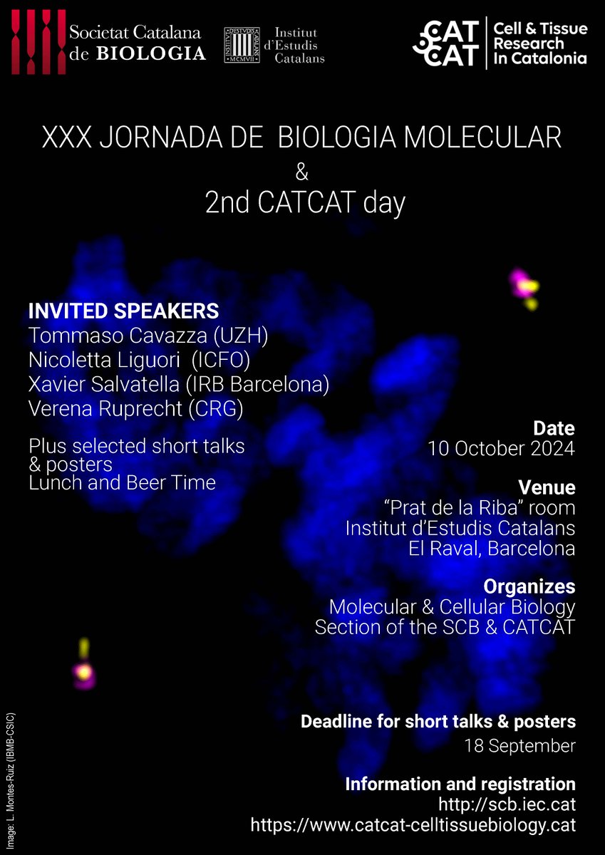 CATCAT - Cell and Tissue Research in Catalonia (@catcatbiology) on Twitter photo 📢 CATCAT collaborates again with the Catalan Society of Biology <a href="/SCB_iec/">Societat Catalana de Biologia</a> for their 30th annual Meeting on cell and molecular biology!
📆 10 October 2024
🗒️ More info and registration: scb.iec.cat/xxx-jornada-de…
🔔 Deadline for abstracts submission: 18 September 📢 CATCAT collaborates again with the Catalan Society of Biology <a href="/SCB_iec/">Societat Catalana de Biologia</a> for their 30th annual Meeting on cell and molecular biology!
📆 10 October 2024
🗒️ More info and registration: scb.iec.cat/xxx-jornada-de…
🔔 Deadline for abstracts submission: 18 September