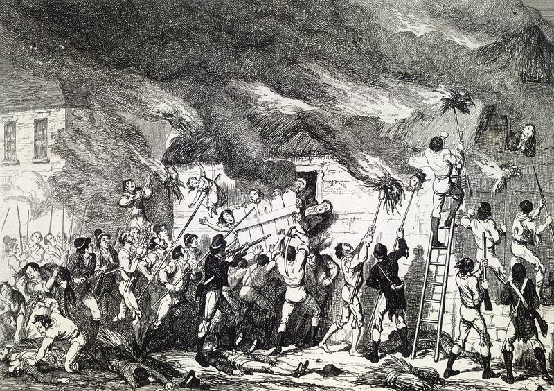 Peep o’ Day Chronicles tweet media