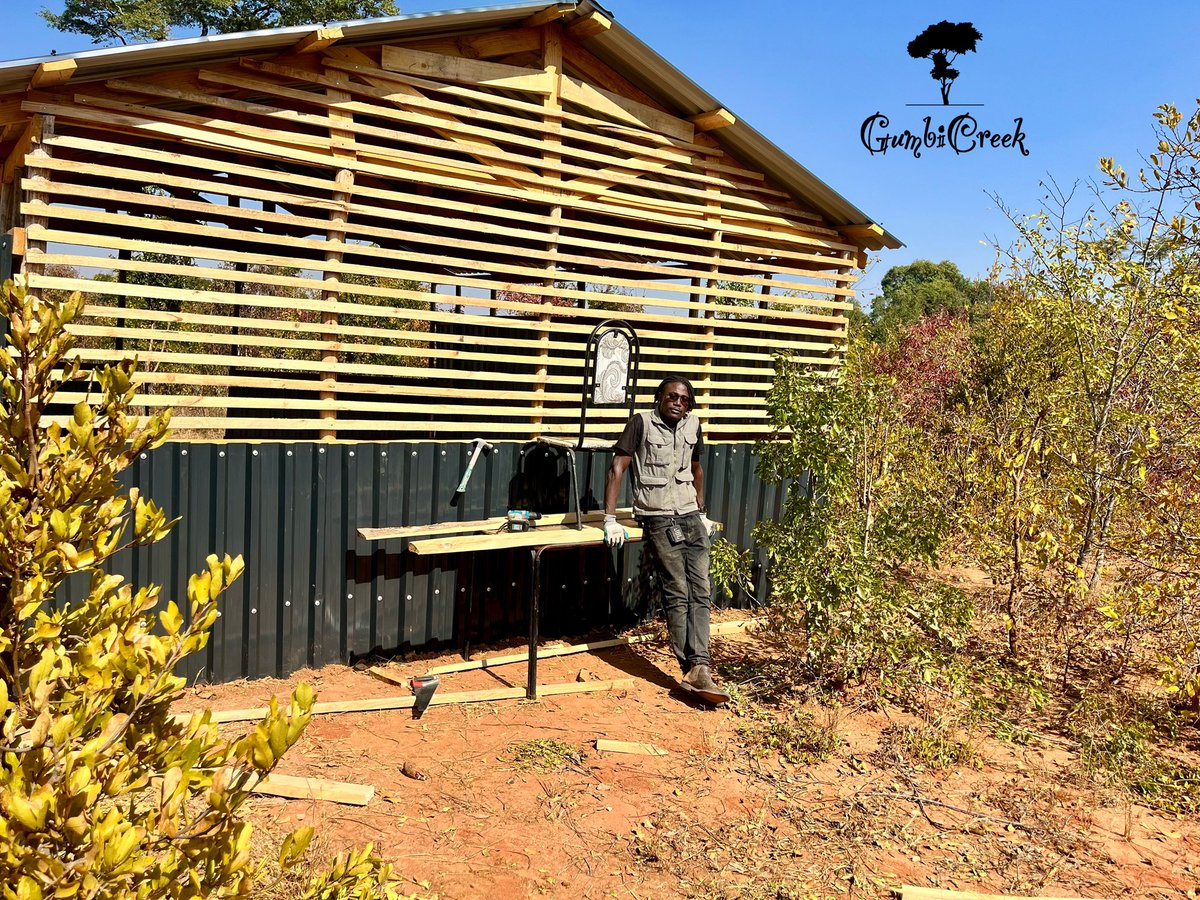 GumbiCreek's tweet image. 🌻Hello!

Welcome to Gumbi Creek!

Today we’re working on our rabbitry shed, preparing for our bunnies arriving in August!

Follow along for updates, tips and a glimpse into our rabbit farming journey!

#GumbiCreek #FarmLife #Rabbitry