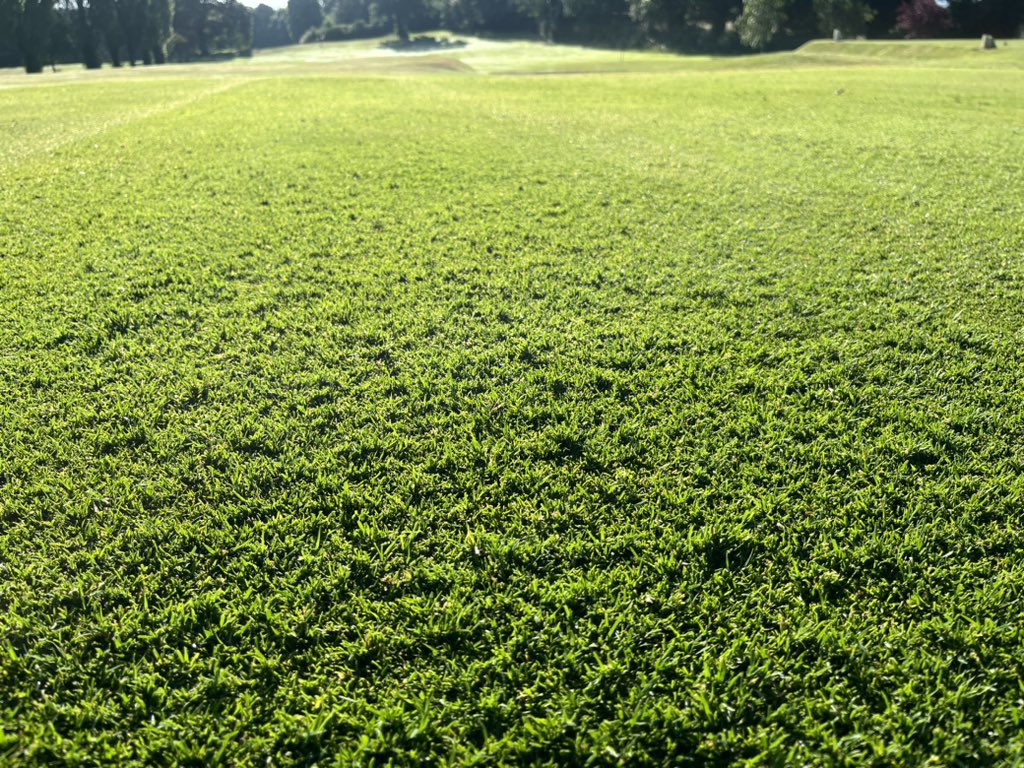 Jon Merchant tweet media