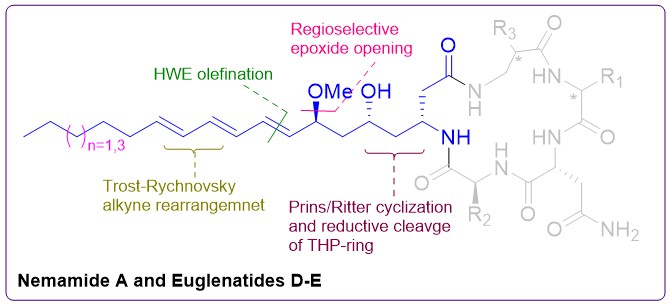 GoswamiLab_IACS's tweet image. 🎯Happy to share our journey towards synthesis of Nemamide A and Euglenatides D-E, has been published @synlett_journal : thieme-connect.com/products/ejour…
From the authers @himangshuchem @psujan1234
@RajibTotally