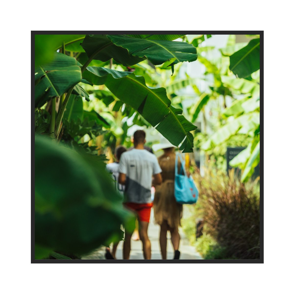 palomafinesse's tweet photo. Walking through the green of nature to reach the blue sea... What could be more peaceful in life?

#palomafinesse #paloma #sideantalya https://t.co/fZ17P5R9fX