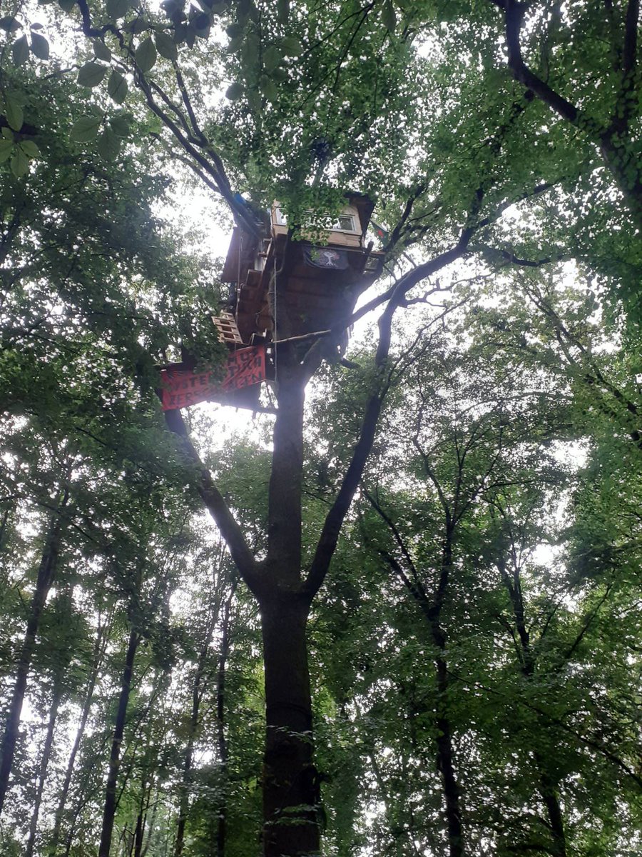 Solidarity with @GREMBIBLEIBT who sadly got evicted last wednesday! 

We are angry, and we are many💚🔥