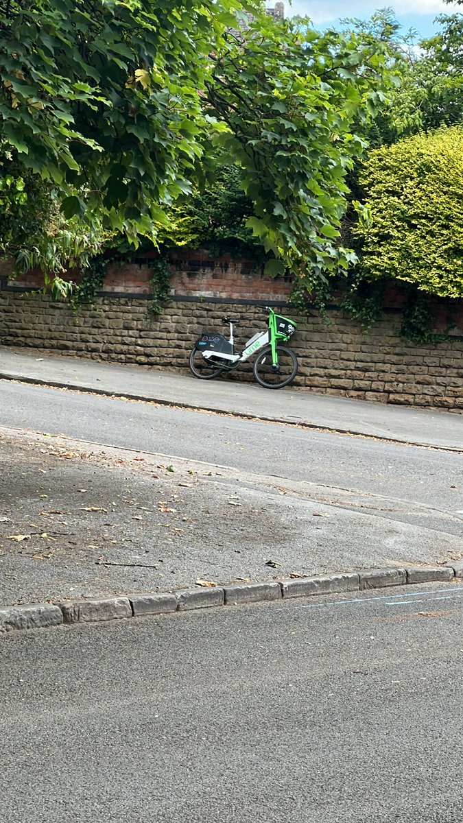 Castle Ward Focus Team 🔶 tweet media