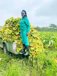 LorraineSiban11's tweet photo. Vakadzi vakasiyana sure. Vamwe vachi stripper. #Zimbabwe @mufarowangu2 @corporatefarmg1 @agribusiness110 @WendyMadzura @zimagricsociety @dereckgoto @DrDelinquent_ @killerzivhu1 @MulakazuvaL @Charega1 @KMutisi @bbmhlanga @CaptainWamba @JoanaMamombe @zanupf_patriots @LynneStactia https://t.co/Ue7orz9llA