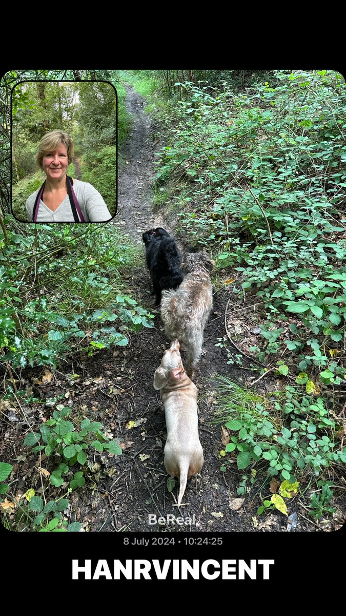 Add me on BeReal. bere.al/hanrvincent