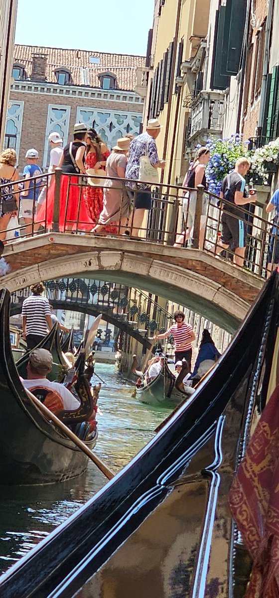 jerseyrugbyfan's tweet image. Monday morning rush hour in venice #totalgridlock