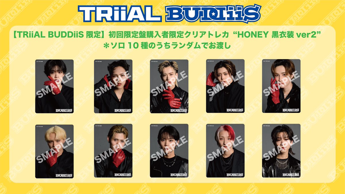 BUDDiiS トレカ BUDDiiS トレカ 免許証 ステッカー 38点 MORRIE FUMIYA