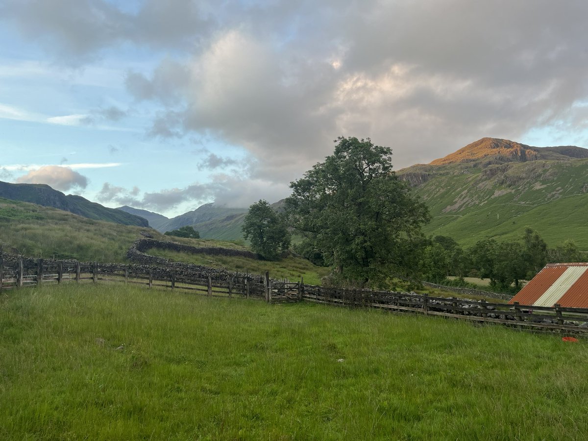 What seems to be a rare summer evening to do a bat survey last night in Eskdale 🦇 🦉 😊
