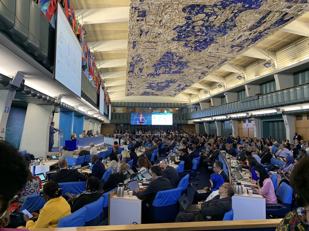 Hannah Richardson (@hirichardson) on Twitter photo Pleased to be here at #COFI36 <a href="/FaunaFloraInt/">Fauna & Flora</a>. Sobering start ‘sustainability of fishery resources is a cause of concern. Urgent action is needed’. Hopefully this is a fruitful meeting to identify a path forward, recognising the key role of small-scale fishers in this action Pleased to be here at #COFI36 <a href="/FaunaFloraInt/">Fauna & Flora</a>. Sobering start ‘sustainability of fishery resources is a cause of concern. Urgent action is needed’. Hopefully this is a fruitful meeting to identify a path forward, recognising the key role of small-scale fishers in this action