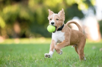 The Institute for Mental Health (IMH) (@imh_uob) on Twitter photo I loved the analogy of the tennis ball to represent realist logic and explain how these projects can’t be done in the lab but have to take place in a real-world environment. #HSRUK24 <a href="/verityroseJones/">Verity Jones</a> I loved the analogy of the tennis ball to represent realist logic and explain how these projects can’t be done in the lab but have to take place in a real-world environment. #HSRUK24 <a href="/verityroseJones/">Verity Jones</a>