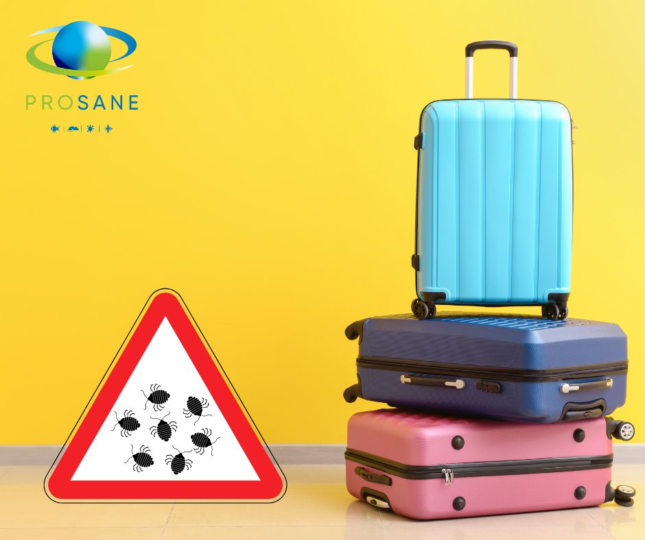 👉 Que faut-il vérifier pour s'assurer qu'il n'y a pas de punaises de  lit dans votre location ?

🎙 Notre porte-parole Stephane BRAS vous l'explique dans une interview réalisée pour <a href="/Le_Figaro/">Le Figaro</a> Immobilier ⤵

immobilier.lefigaro.fr/vivre-dans-son…