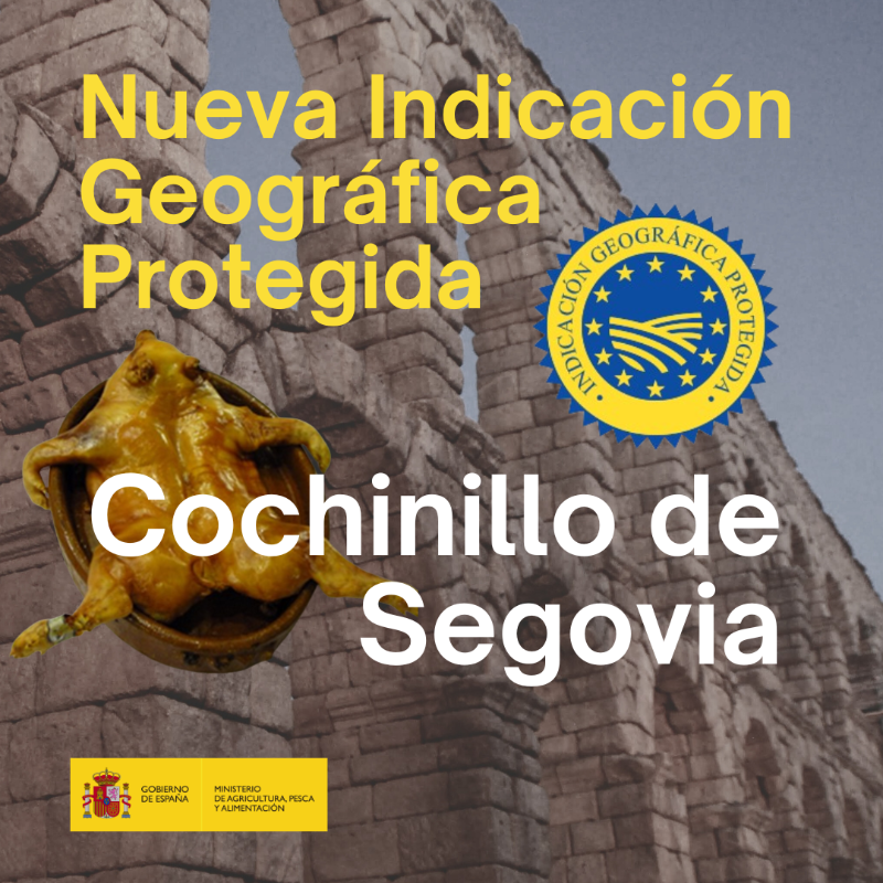 gobmapa's tweet photo. 📢🎉 La UE ha registrado hoy la nueva Indicación Geográfica Protegida #IGP “Cochinillo de Segovia”

→ Esta política de calidad diferenciada reconoce la calidad y protege el origen de producción del #CochinillodeSegovia

#AlimentosdEspaña