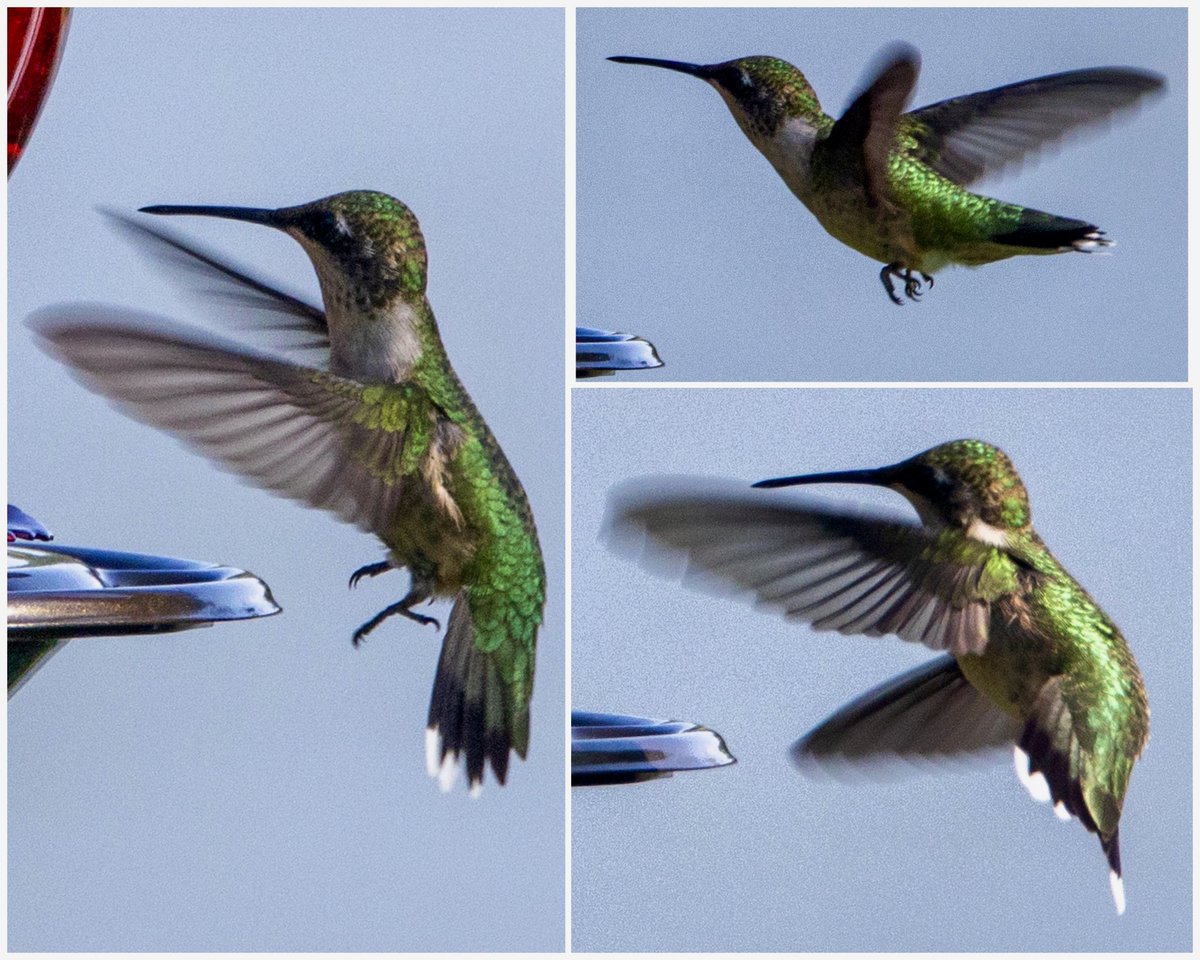 tomlin_bruce's tweet image. Good Morning!
I hope this week hums along well for you.