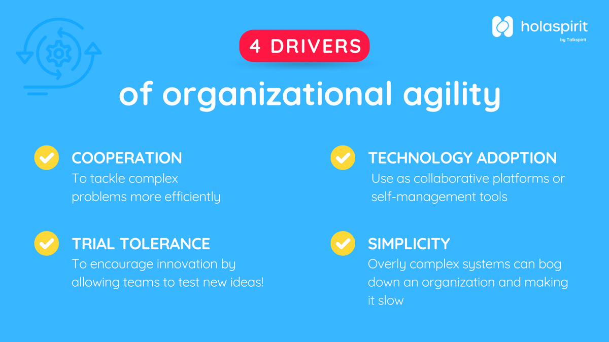 Holaspirit by Talkspirit tweet media