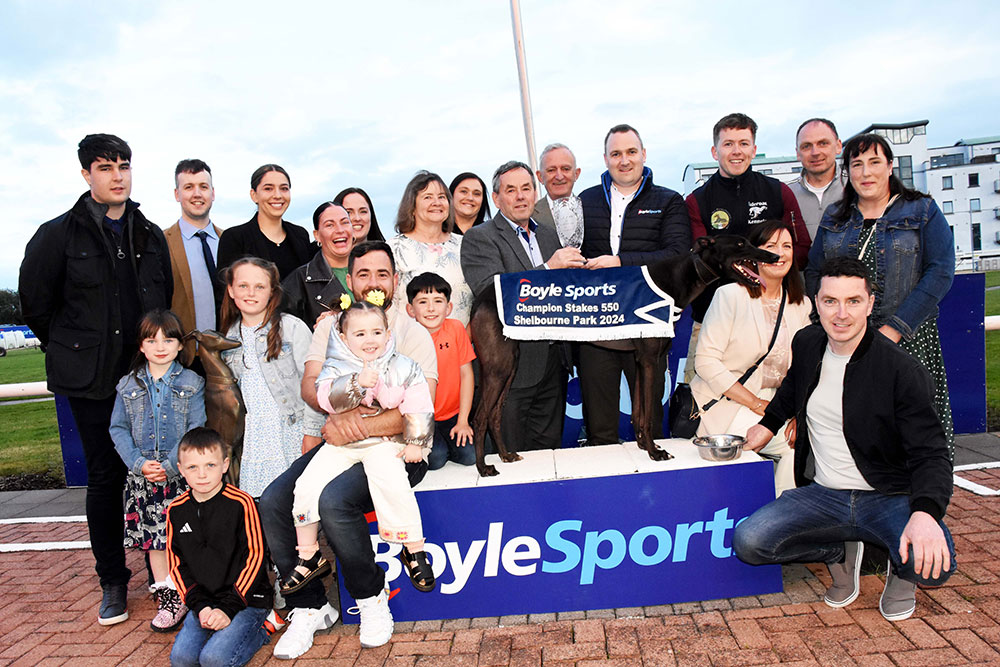 Kingdom Dog Track tweet media