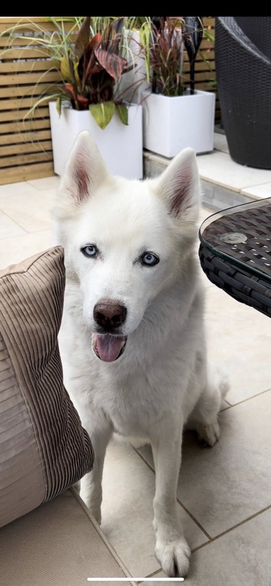 Karen Barry-Davies tweet media