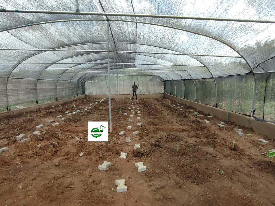 NGsnails's tweet photo. It's a new week, a time to let go of every negative thoughts, cling to your dreams, reach out to resourceful people and trust the process.

May you always succeed in every thing you do this week. 

We love you and wish you a blessed week.

#snail #snailfarming  #freerangefarming https://t.co/ZRQqp3NjZn