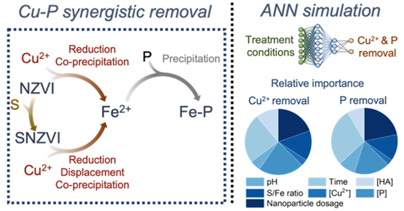 Environmental Science & Technology Journals (@envscitech) on Twitter photo In this ACS ES&T Water study, <a href="/a_s_adeleye/">Adeyemi Adeleye</a> and team provide mechanistic insights into the synergistic removal of Cu and P in water by iron #nanoparticles and also provide an ANN framework for system optimization. #wastewater <a href="/CEEUCI/">CEE@UCI</a> <a href="/Columbia/">Columbia University</a>
Read: go.acs.org/a5t In this ACS ES&T Water study, <a href="/a_s_adeleye/">Adeyemi Adeleye</a> and team provide mechanistic insights into the synergistic removal of Cu and P in water by iron #nanoparticles and also provide an ANN framework for system optimization. #wastewater <a href="/CEEUCI/">CEE@UCI</a> <a href="/Columbia/">Columbia University</a>
Read: go.acs.org/a5t