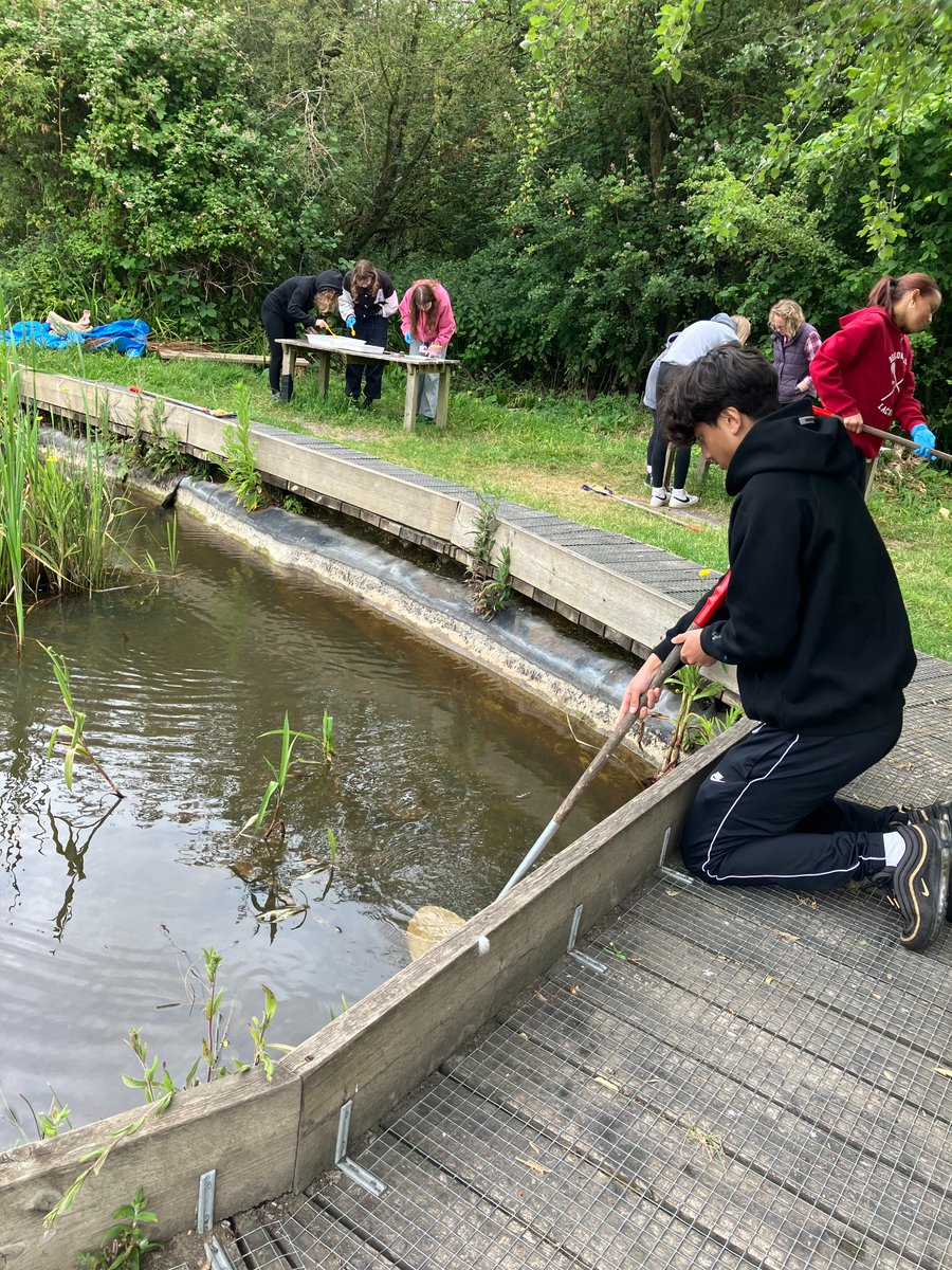 Fitzharrys Science tweet media