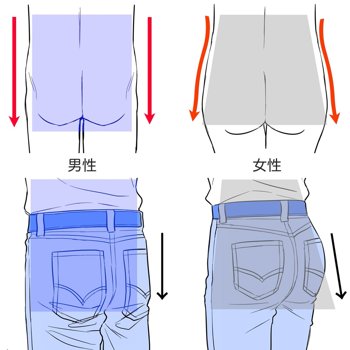 palmie_oekaki's tweet photo. 男女の腰回りの描き分けのコツ✨
https://t.co/a67z0oTQJa https://t.co/0Qlyf1iCsF