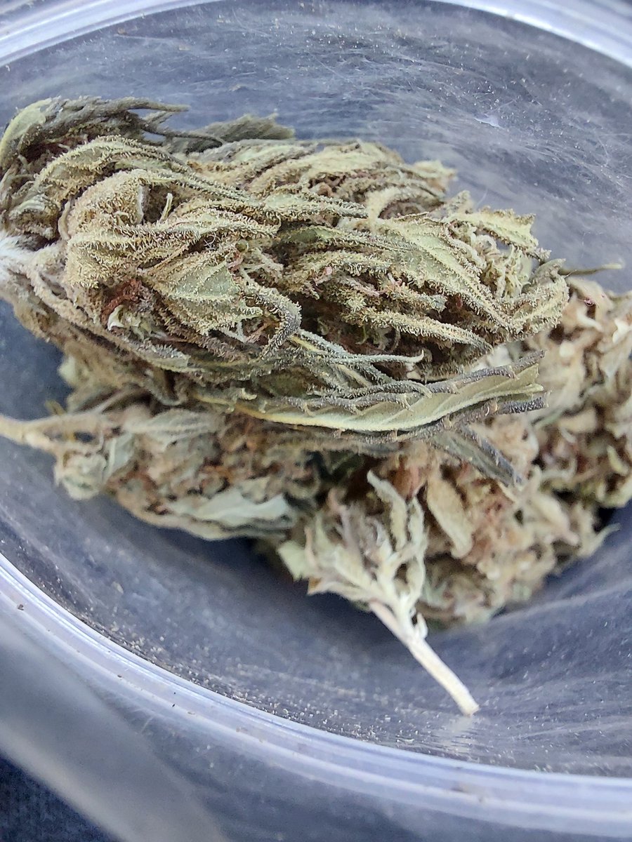 ClivevilC's tweet image. Having a good morning....#lifestyle