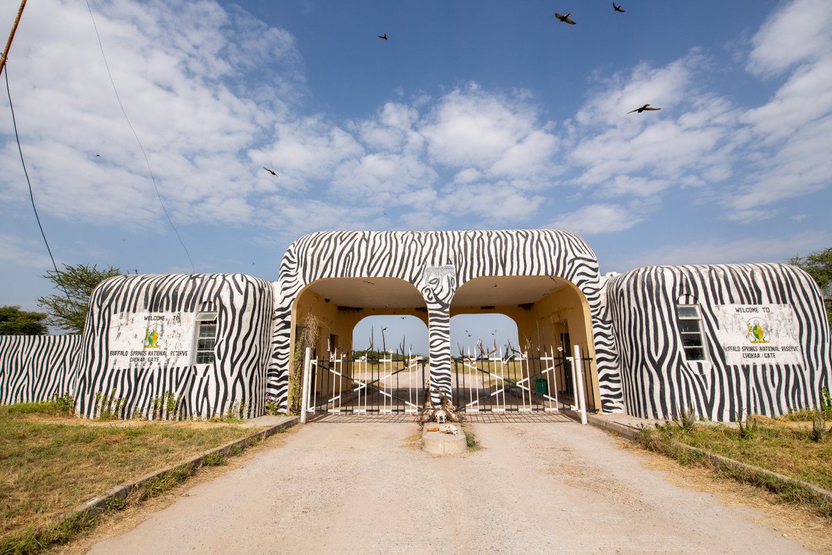 GDU011's tweet photo. Discover the wonders of Isiolo County's Sarova Shaba &amp; Buffalo Springs game reserves for an unforgettable wildlife &amp; sightseeing adventure. Land at our international airport.(2) @MbuthiaAmina @Happy_kulayo @IsioloTourism @KenyaAirways @FlyJambojet @Flysafarilink @SkywardExpress https://t.co/qdNnEzNJre