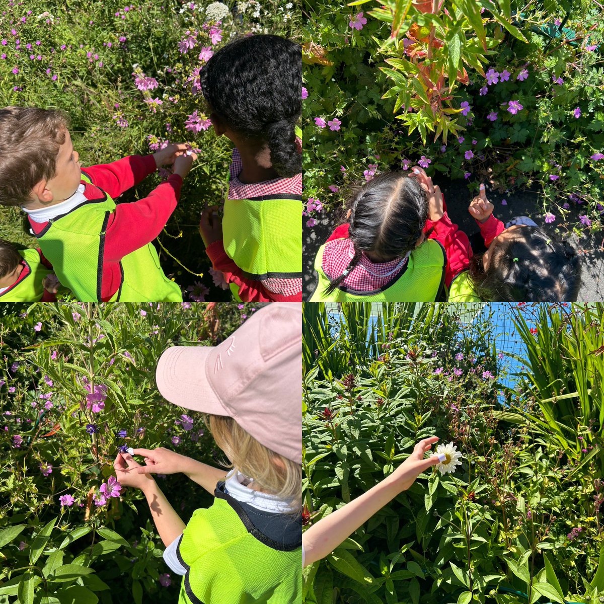ArchibaldFirst's tweet photo. Year 1 have been conducting some fieldwork this morning to help plan our bee corridor! We found lots of beautiful flowers in Gosforth Park and even pretended to be buzzy bee pollinators! #AFSCaring #AFSGeography #AFSScience 🌸🌺🌻🌼 https://t.co/djkcljUZVi