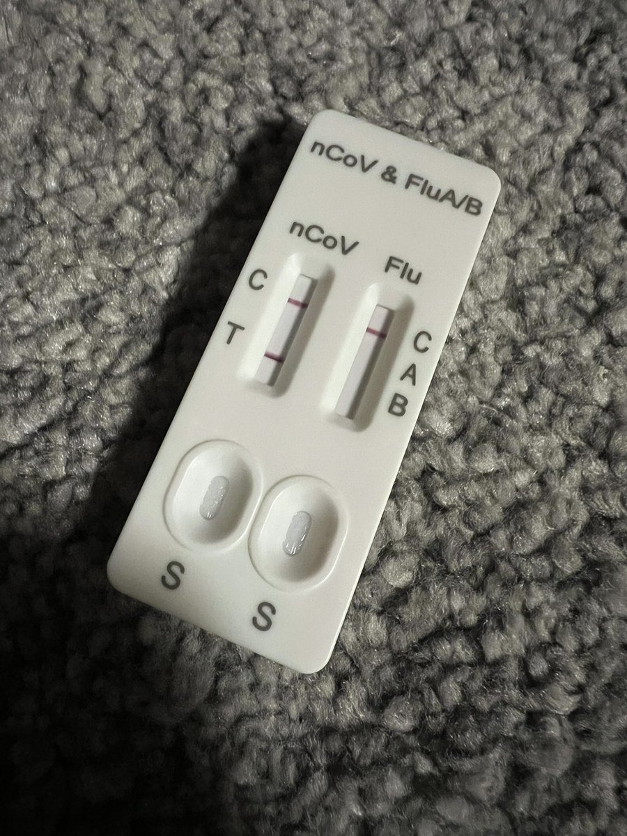 堀田裕介 tweet media