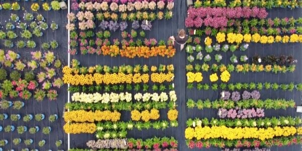 realagriculture's tweet photo. Check out the latest episode of #ProfitablePractices on driving efficiency at Van Belle Nursery: https://t.co/ZmEyIQ0loE #cdnag #ontag #westcdnag @FCCagriculture @RBC Agriculture https://t.co/IW8ytfTqmm