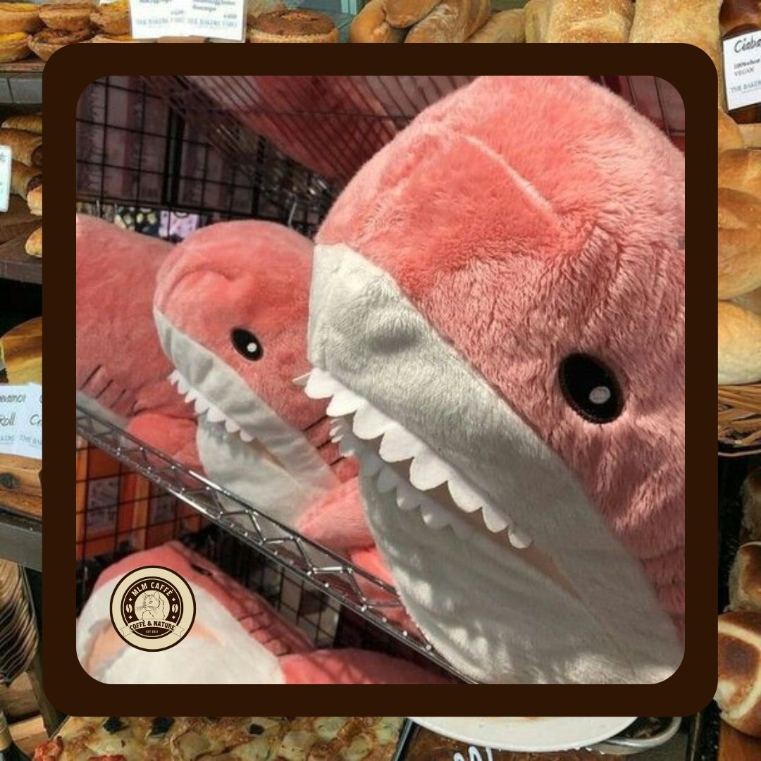 ✦ NEW ORDER ✦

TO : <a href="/irshwndy/">irshwndy 🍃</a>
FROM : april

MESSAGE: hi ate irshh! miss you na po. hoping na sa 2025 mabili ko na sila doc at atty! ingat po kayo always, love u po <3