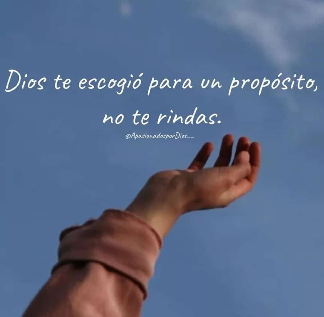 Señor, tenemos hoy el corazón alegre, listo para salir a vivir y a dar lo mejor. Estamos convencidos de que vale la pena confiar en ti, y en medio de la dificultad contamos contigo. Te pido que en este nuevo día me guíes, me protejas y me llenes de tu amor, tu salud y bendición.
