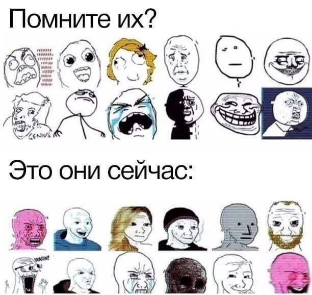 Гиперборя Таренков ☦️ 🇷🇺 (@pudgeoffcial1) on Twitter photo 