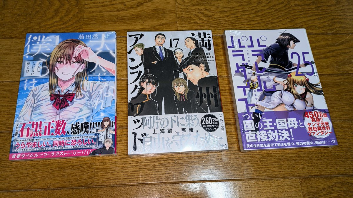 パラレルパラダイス(17) 61FJ0WnTxWL._UF1000,1000_QL80_.jpg