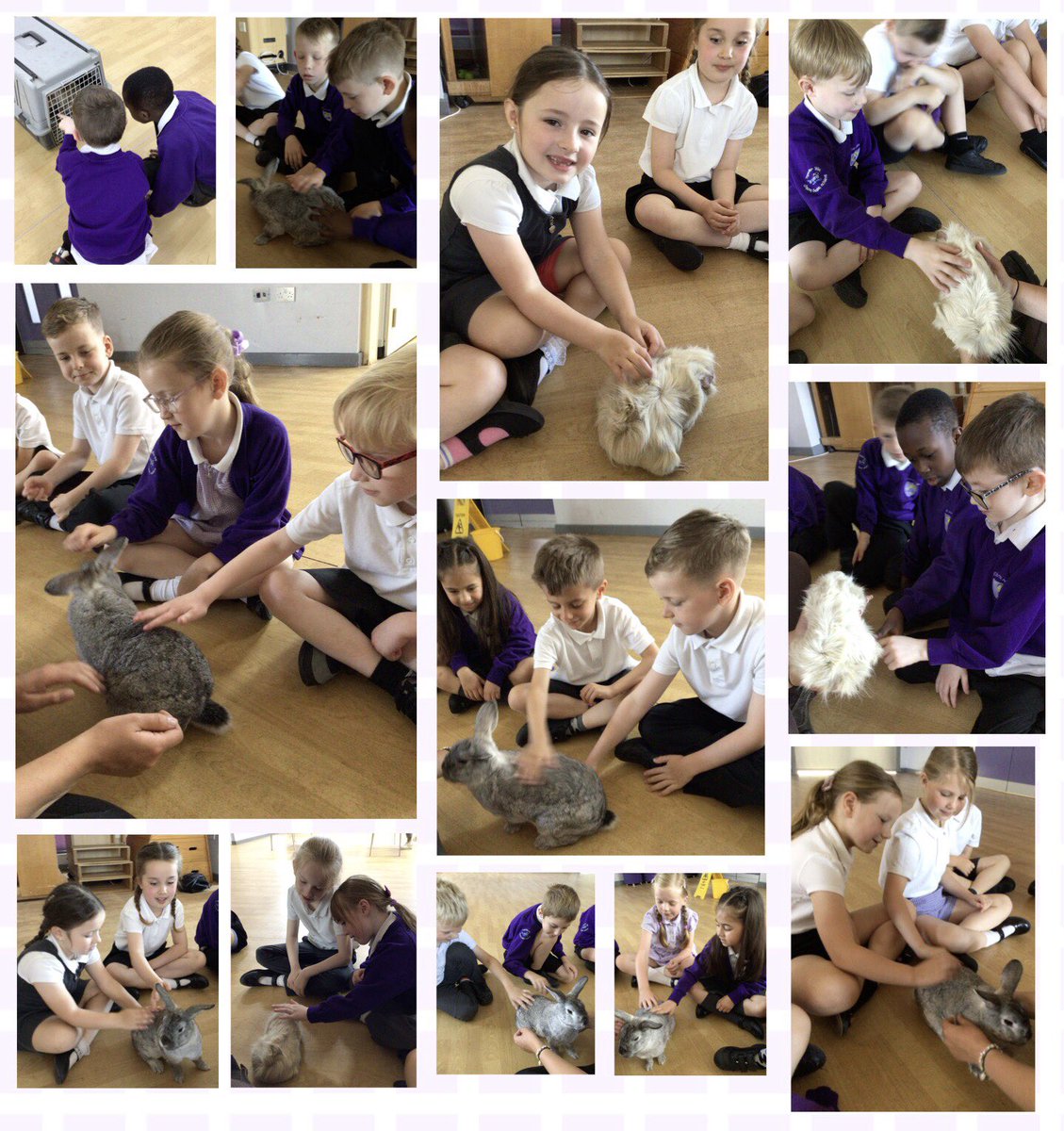 Elliston Primary Academy (@ellistonacademy) on Twitter photo Jackal Class were super excited when some chickens, rabbits and guinea pigs came to visit them from <a href="/nunnysfarmcic/">Nunnys Farm CIC</a> ! They were able to retrieve their prior knowledge around animal groups and identified the different features on each animal🐔🐰 #EllistonScience #EllistonPD Jackal Class were super excited when some chickens, rabbits and guinea pigs came to visit them from <a href="/nunnysfarmcic/">Nunnys Farm CIC</a> ! They were able to retrieve their prior knowledge around animal groups and identified the different features on each animal🐔🐰 #EllistonScience #EllistonPD