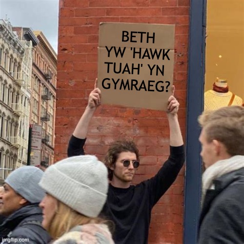 Hebog Tŵa?!