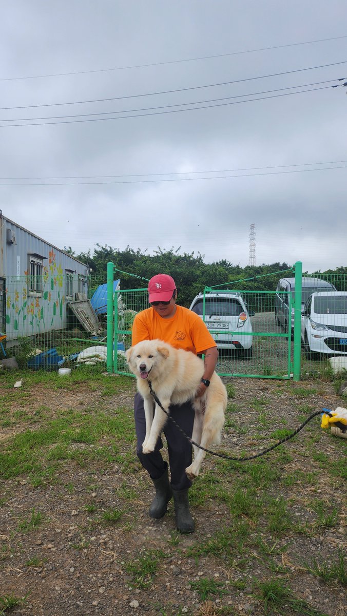 안 들어간다고 버텨서 연행되는 다솜이 ㅎㅎㅎ