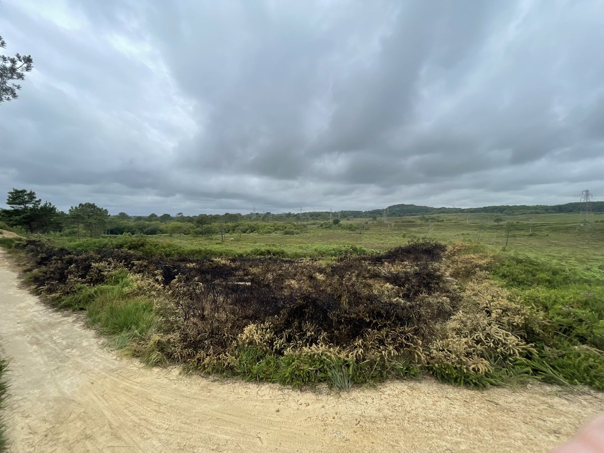 Julia and Teddy tweet media