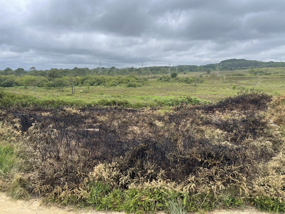 Julia and Teddy tweet media